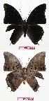  ( - BC-EV0659)  @13 [ ] Unspecified (default): All Rights Reserved  Unspecified Unspecified