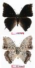  ( - BC-EV0665)  @13 [ ] Unspecified (default): All Rights Reserved  Unspecified Unspecified