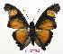  ( - BC-EV0678)  @13 [ ] Unspecified (default): All Rights Reserved  Unspecified Unspecified
