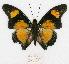  ( - BC-EV0771)  @13 [ ] Unspecified (default): All Rights Reserved  Unspecified Unspecified