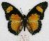  ( - BC-EV0774)  @15 [ ] Unspecified (default): All Rights Reserved  Unspecified Unspecified