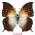  ( - BC-EV0791)  @14 [ ] Unspecified (default): All Rights Reserved  Unspecified Unspecified