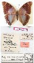  ( - BC-EV0813)  @12 [ ] Unspecified (default): All Rights Reserved  Unspecified Unspecified