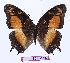  ( - BC-EV0959)  @13 [ ] Unspecified (default): All Rights Reserved  Unspecified Unspecified