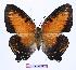  ( - BC-EV0961)  @15 [ ] Unspecified (default): All Rights Reserved  Unspecified Unspecified