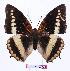  ( - BC-EV0976)  @14 [ ] Unspecified (default): All Rights Reserved  Unspecified Unspecified