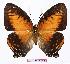  ( - BC-EV1021)  @14 [ ] Unspecified (default): All Rights Reserved  Unspecified Unspecified