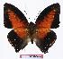  ( - BC-EV1089)  @13 [ ] Unspecified (default): All Rights Reserved  Unspecified Unspecified