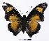  ( - BC-EV1101)  @13 [ ] Unspecified (default): All Rights Reserved  Unspecified Unspecified