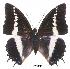  ( - BC-EV0004)  @13 [ ] Unspecified (default): All Rights Reserved  Unspecified Unspecified