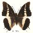  ( - BC-EV0009)  @13 [ ] Unspecified (default): All Rights Reserved  Unspecified Unspecified
