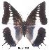  ( - BC-EV0019)  @13 [ ] Unspecified (default): All Rights Reserved  Unspecified Unspecified