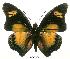  ( - BC-EV0021)  @14 [ ] Unspecified (default): All Rights Reserved  Unspecified Unspecified