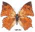  ( - BC-EV0024)  @13 [ ] Unspecified (default): All Rights Reserved  Unspecified Unspecified