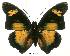  ( - BC-EV0032)  @14 [ ] Unspecified (default): All Rights Reserved  Unspecified Unspecified