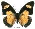  ( - BC-EV0035)  @14 [ ] Unspecified (default): All Rights Reserved  Unspecified Unspecified