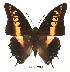  ( - BC-EV0052)  @13 [ ] Unspecified (default): All Rights Reserved  Unspecified Unspecified