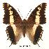  ( - BC-EV0055)  @13 [ ] Unspecified (default): All Rights Reserved  Unspecified Unspecified