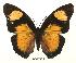  ( - BC-EV0062)  @13 [ ] Unspecified (default): All Rights Reserved  Unspecified Unspecified