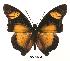  ( - BC-EV0063)  @13 [ ] Unspecified (default): All Rights Reserved  Unspecified Unspecified