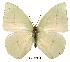  ( - BC-EV0147)  @14 [ ] Unspecified (default): All Rights Reserved  Unspecified Unspecified