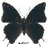  ( - BC-EV0187)  @13 [ ] Unspecified (default): All Rights Reserved  Unspecified Unspecified