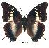  ( - BC-EV0188)  @14 [ ] Unspecified (default): All Rights Reserved  Unspecified Unspecified