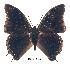  ( - BC-EV0193)  @13 [ ] Unspecified (default): All Rights Reserved  Unspecified Unspecified