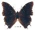  ( - BC-EV0194)  @13 [ ] Unspecified (default): All Rights Reserved  Unspecified Unspecified