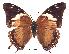  ( - BC-EV0196)  @13 [ ] Unspecified (default): All Rights Reserved  Unspecified Unspecified
