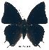  ( - BC-EV0201)  @13 [ ] Unspecified (default): All Rights Reserved  Unspecified Unspecified