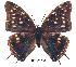  ( - BC-EV0207)  @13 [ ] Unspecified (default): All Rights Reserved  Unspecified Unspecified