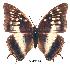  ( - BC-EV0208)  @14 [ ] Unspecified (default): All Rights Reserved  Unspecified Unspecified