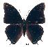  ( - BC-EV0220)  @14 [ ] Unspecified (default): All Rights Reserved  Unspecified Unspecified