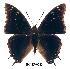  ( - BC-EV0223)  @14 [ ] Unspecified (default): All Rights Reserved  Unspecified Unspecified
