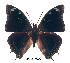  ( - BC-EV0232)  @14 [ ] Unspecified (default): All Rights Reserved  Unspecified Unspecified