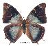  ( - BC-EV0233)  @14 [ ] Unspecified (default): All Rights Reserved  Unspecified Unspecified