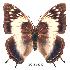  ( - BC-EV0240)  @13 [ ] Unspecified (default): All Rights Reserved  Unspecified Unspecified