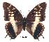  ( - BC-EV0247)  @14 [ ] Unspecified (default): All Rights Reserved  Unspecified Unspecified