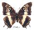  ( - BC-EV0248)  @13 [ ] Unspecified (default): All Rights Reserved  Unspecified Unspecified