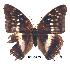  ( - BC-EV0250)  @13 [ ] Unspecified (default): All Rights Reserved  Unspecified Unspecified