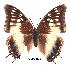  ( - BC-EV0266)  @13 [ ] Unspecified (default): All Rights Reserved  Unspecified Unspecified