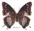  ( - BC-EV0270)  @14 [ ] Unspecified (default): All Rights Reserved  Unspecified Unspecified