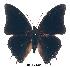  ( - BC-EV0282)  @13 [ ] Unspecified (default): All Rights Reserved  Unspecified Unspecified