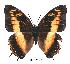  ( - BC-EV0347)  @14 [ ] Unspecified (default): All Rights Reserved  Unspecified Unspecified