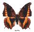  ( - BC-EV0361)  @15 [ ] Unspecified (default): All Rights Reserved  Unspecified Unspecified