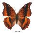  ( - BC-EV0364)  @14 [ ] Unspecified (default): All Rights Reserved  Unspecified Unspecified
