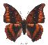  ( - BC-EV0365)  @14 [ ] Unspecified (default): All Rights Reserved  Unspecified Unspecified