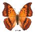  ( - BC-EV0371)  @14 [ ] Unspecified (default): All Rights Reserved  Unspecified Unspecified