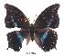  ( - BC-EV0373)  @13 [ ] Unspecified (default): All Rights Reserved  Unspecified Unspecified